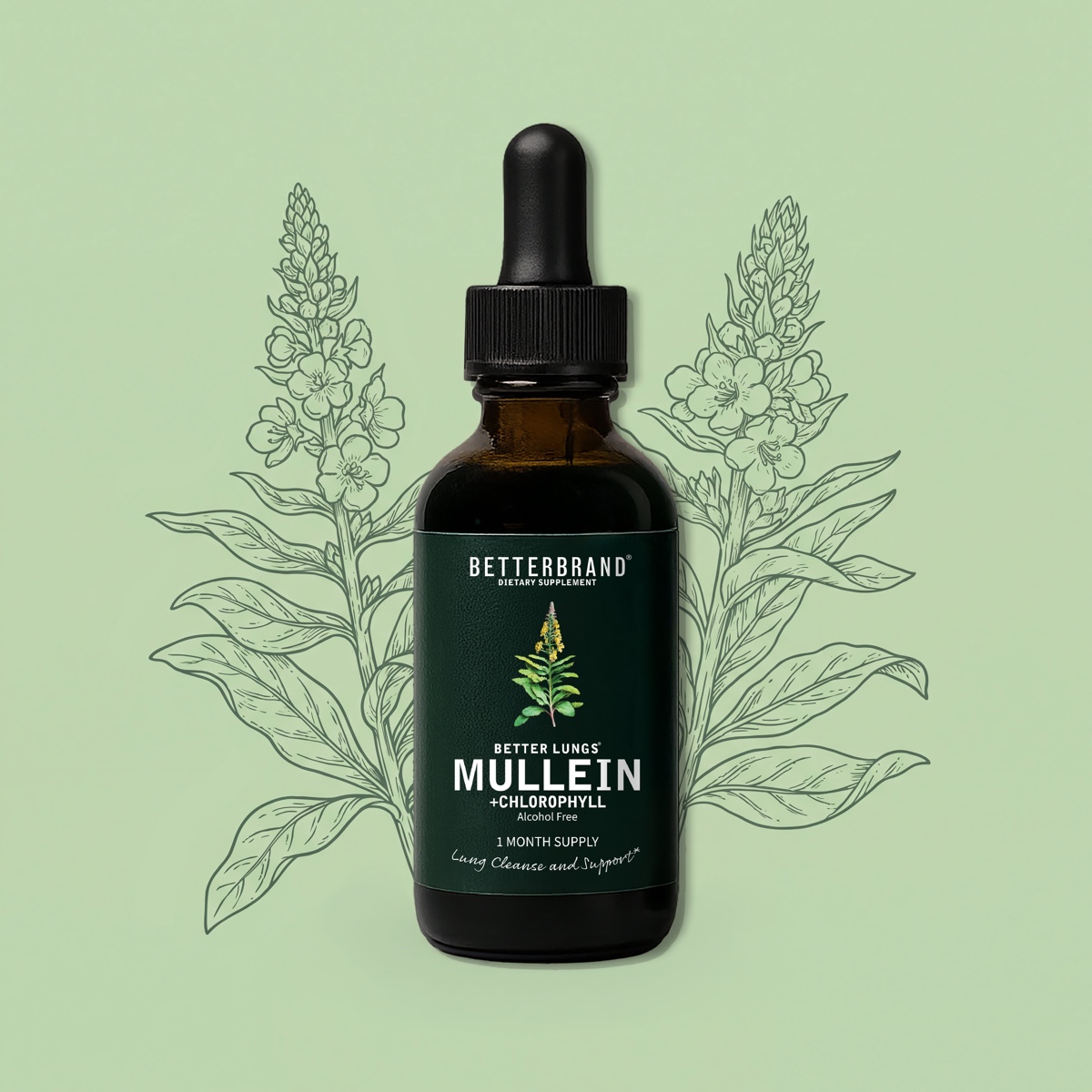 BetterLungs Mullein + Chlorophyll tincture